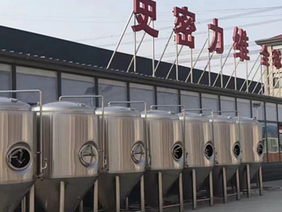 西华精酿啤酒设备厂—市场规模与跨界新需求